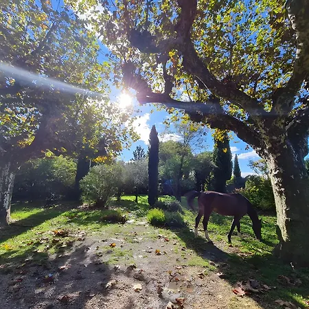 Du Poney Fringant Casa rural
